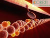 3D-Animation Medizin/Pharma: Kontraktion des Herzmuskels