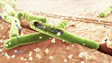 medizinische 3D-Animation Pharma Wirkmechanismus eines Medikamentes aus der Dermatologie gegen Pilze und Bakterien auf der Haut - Travocort von Bayer