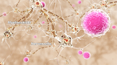 medizinischer 3D-Animationsfilm Multiple Sklerose - Patientenfilm Neurologie - das Nervensystem im Gehirn Patientenaufklärungsfilm Gilenya von Novartis Pharma