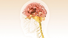Patientenfilm Multiple Sklerose Gehirn Medizin für Novartis Pharma