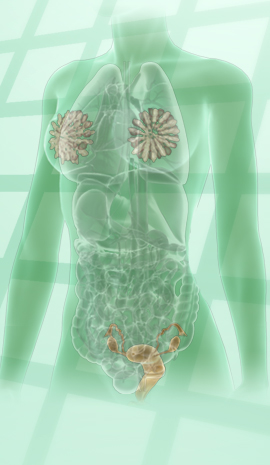medizinische 3D-Animation Pharma: Wirkmechanismus eines Medikamentes aus der Onkologie, Mode of Action