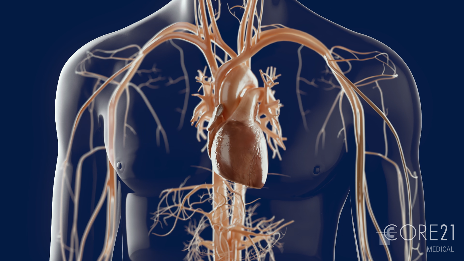 3D-Illustration Herz - medizinische 3D-Visualisierung und 3D-Illustration Kardiologie