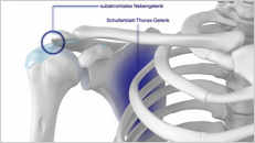 3D-Animation für Medizin elearning Schulteranatomie - Medizintechnik Orthopädie Knochen und Gelenke