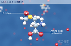 3D-Animation für Medizin elearning klinische Ernährung Fresenius Kabi: Amino Acid Oxidation