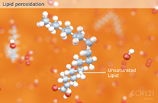 3D-Animation für Medizin elearning klinische Ernährung Fresenius Kabi: Lipid Peroxidation