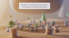 3D-Animation Wirkmechanismus eines Wirkstoffs Urologie Pharma