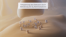 3D-Animation Mode of Action Pharma Wirkmechanismus Urologie