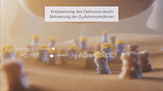 3D-Animation Mode of Action Pharma Wirkmechanismus Urologie