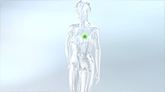 3D-Animation Medizin über die Wirkweise von Wirkstoffpflastern